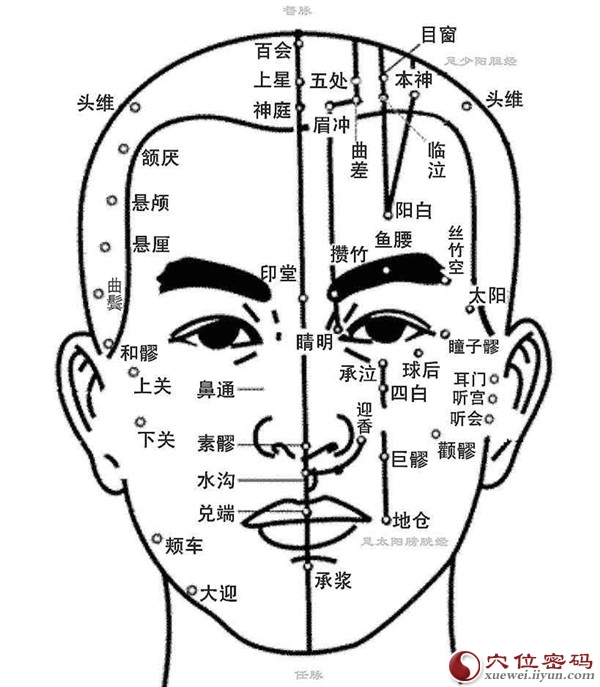 人体面部穴位图