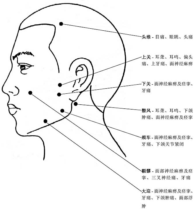 人体面部穴位图及作用功效
