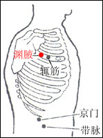 渊腋穴的位置解剖分析图